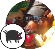 Hog Roast